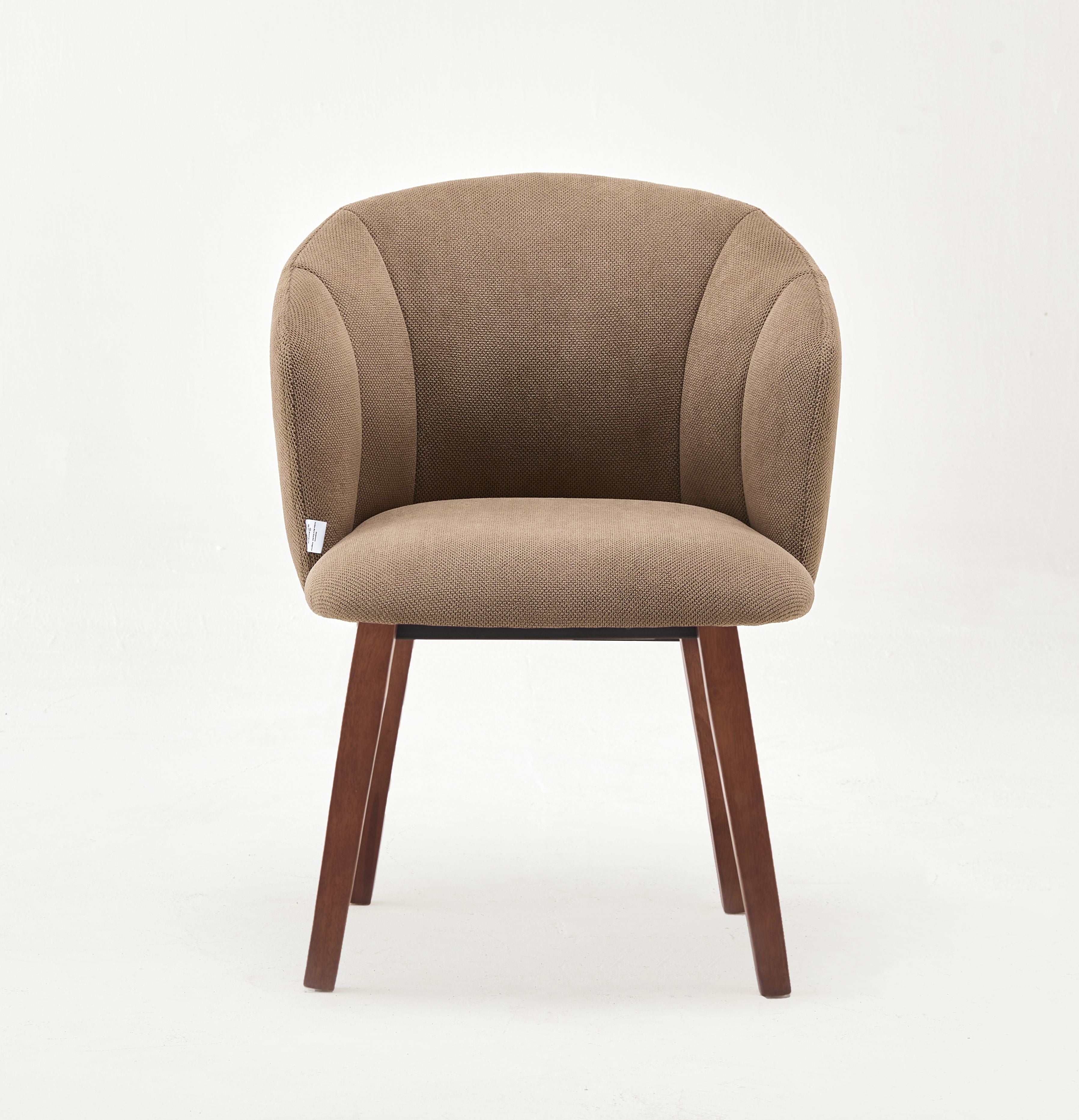 Modern Dora Brown Upholstered Chair