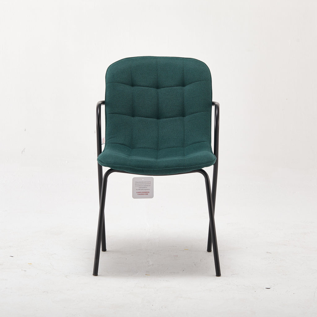 Modern Upholstered Rae Green Tufted Accent Chair
