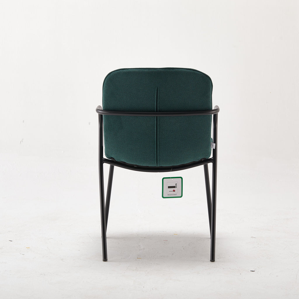 Modern Upholstered Rae Green Tufted Accent Chair