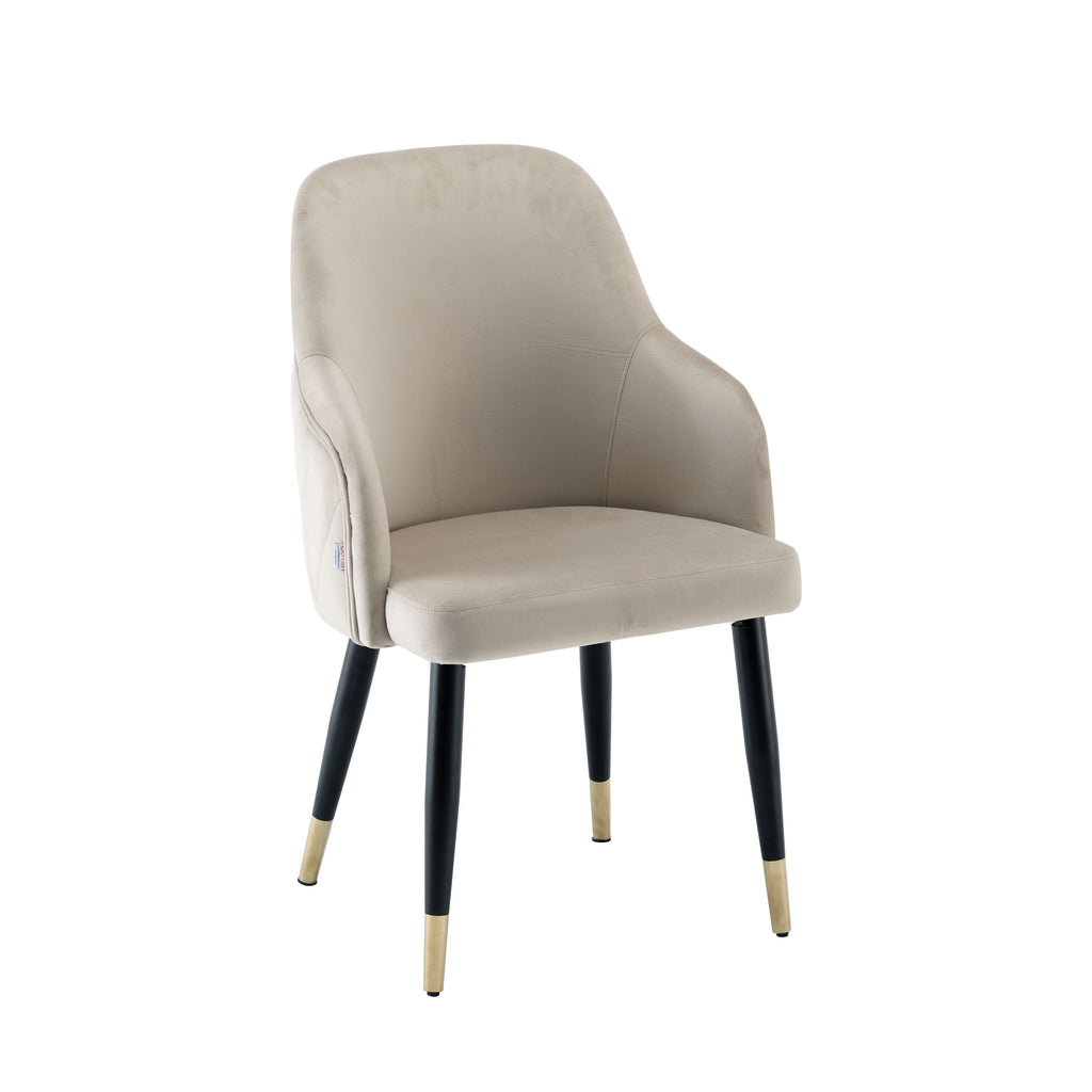 Modern Upholstered Beige Coco Accent Chair